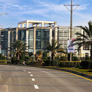 zaitoon4