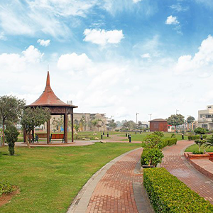 zaitoon6